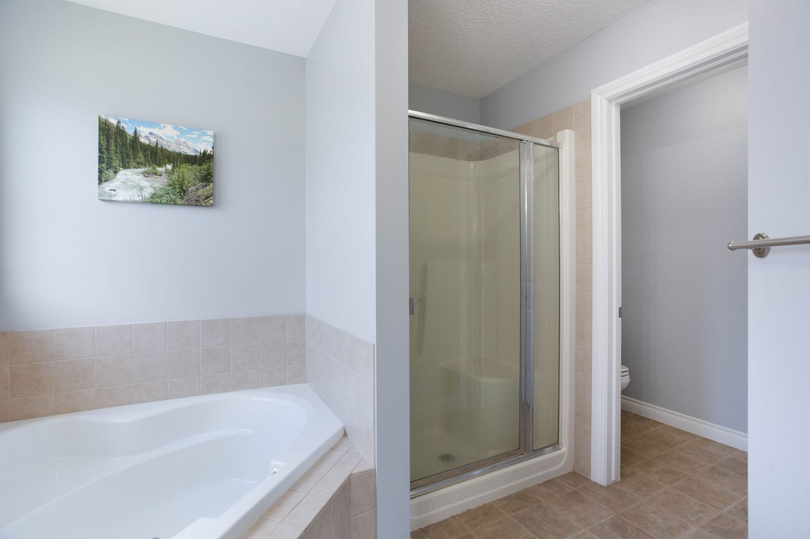 Ensuite tub and separate shower
