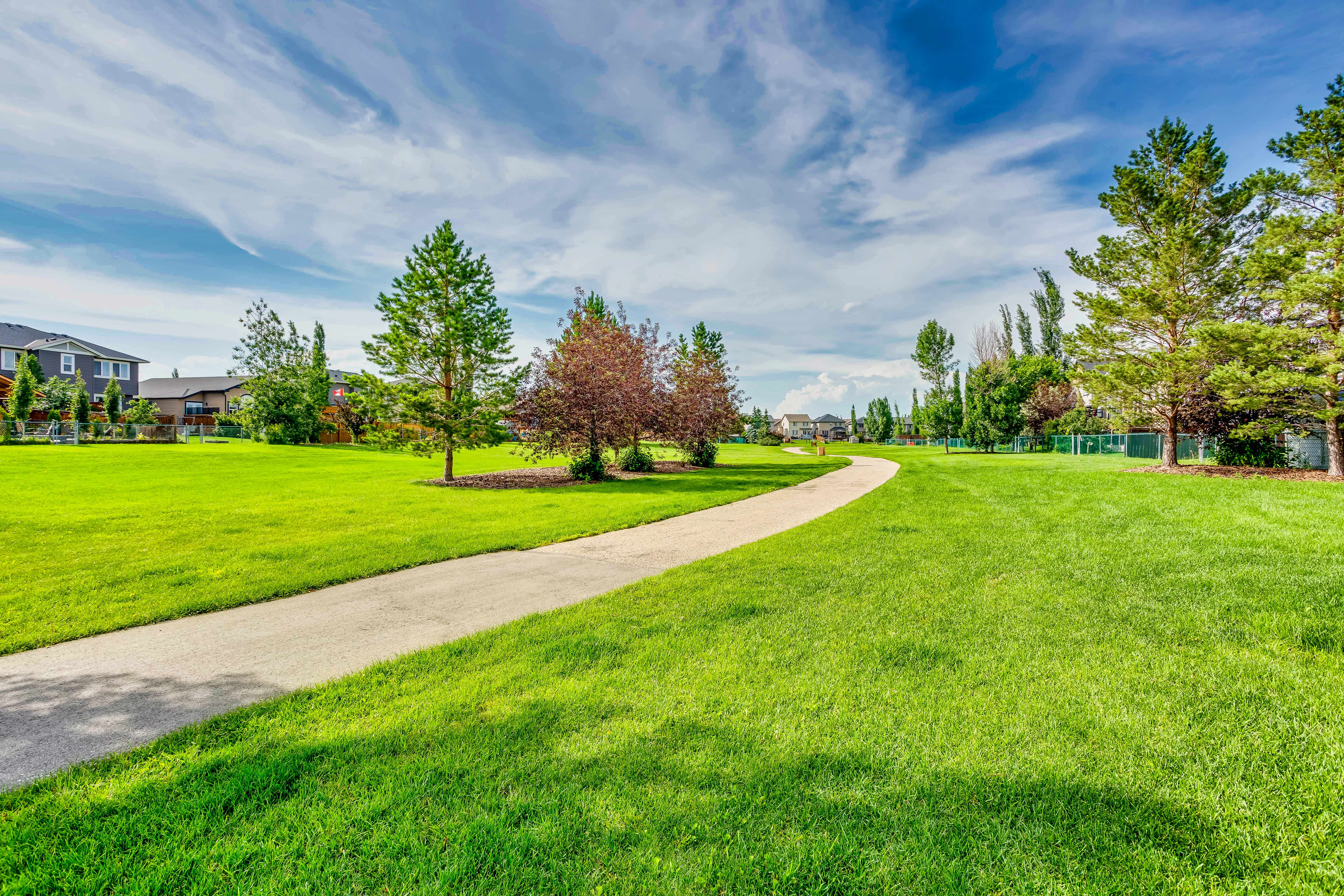 Greenspace and walking pathway