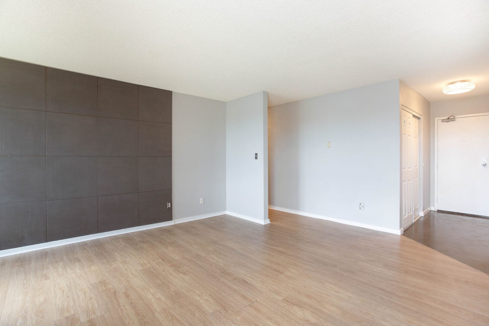 Unfurnished living room feature wall