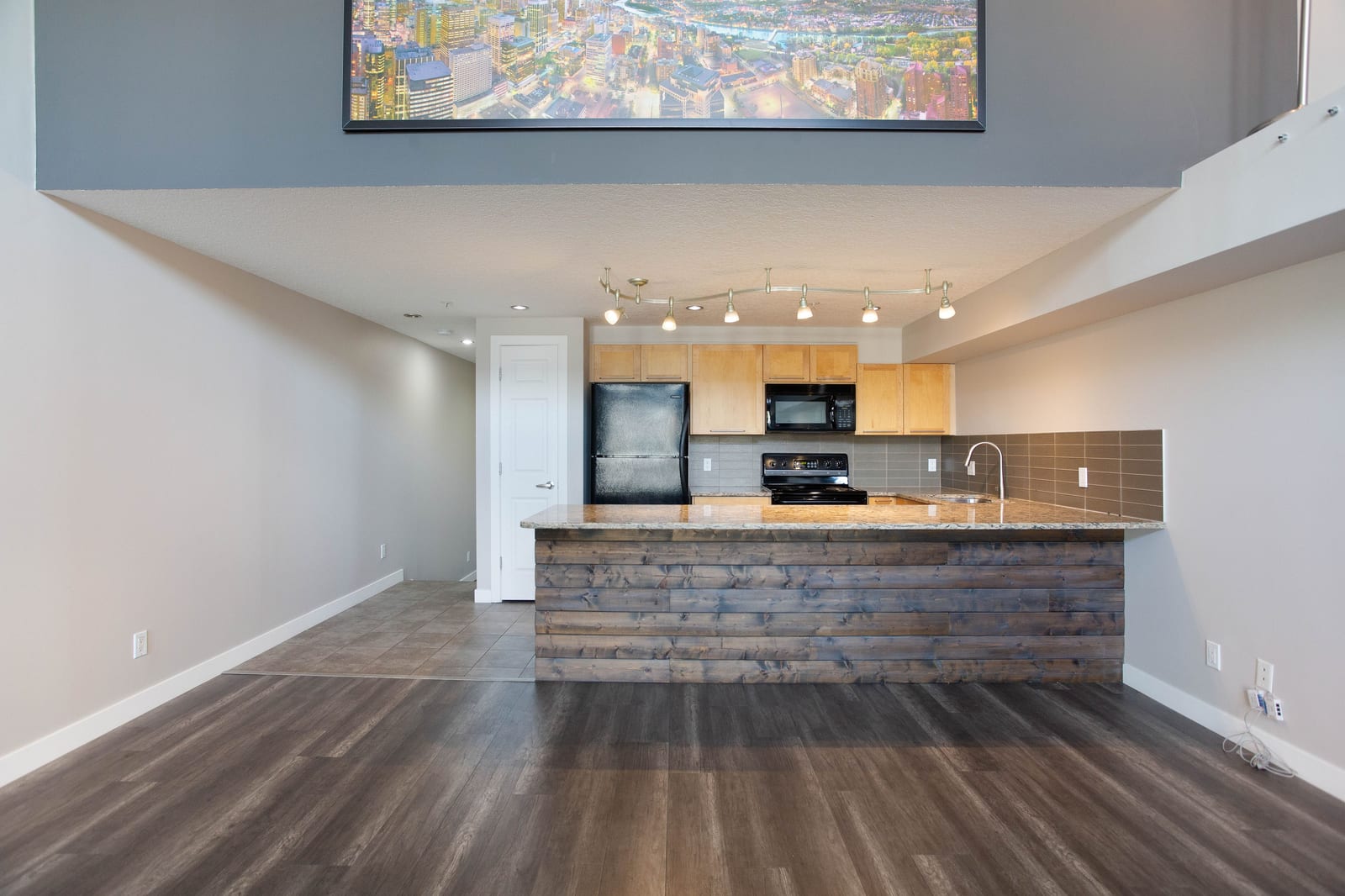 Kitchen island and open living area