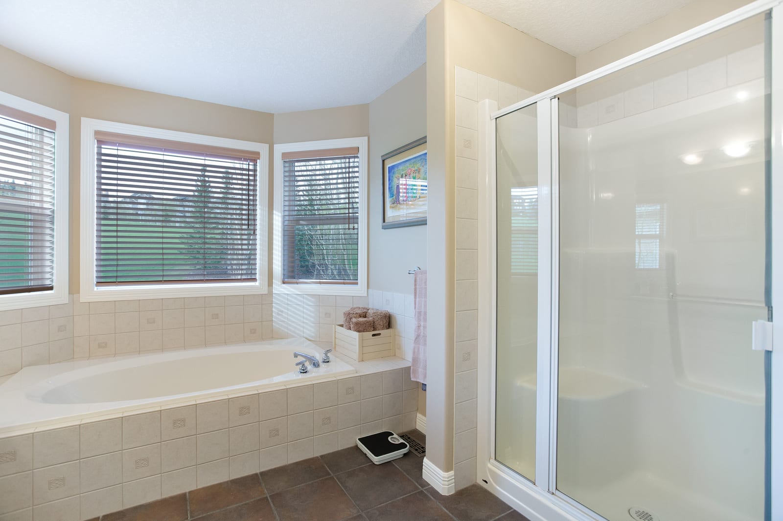 Ensuite tub and separate shower