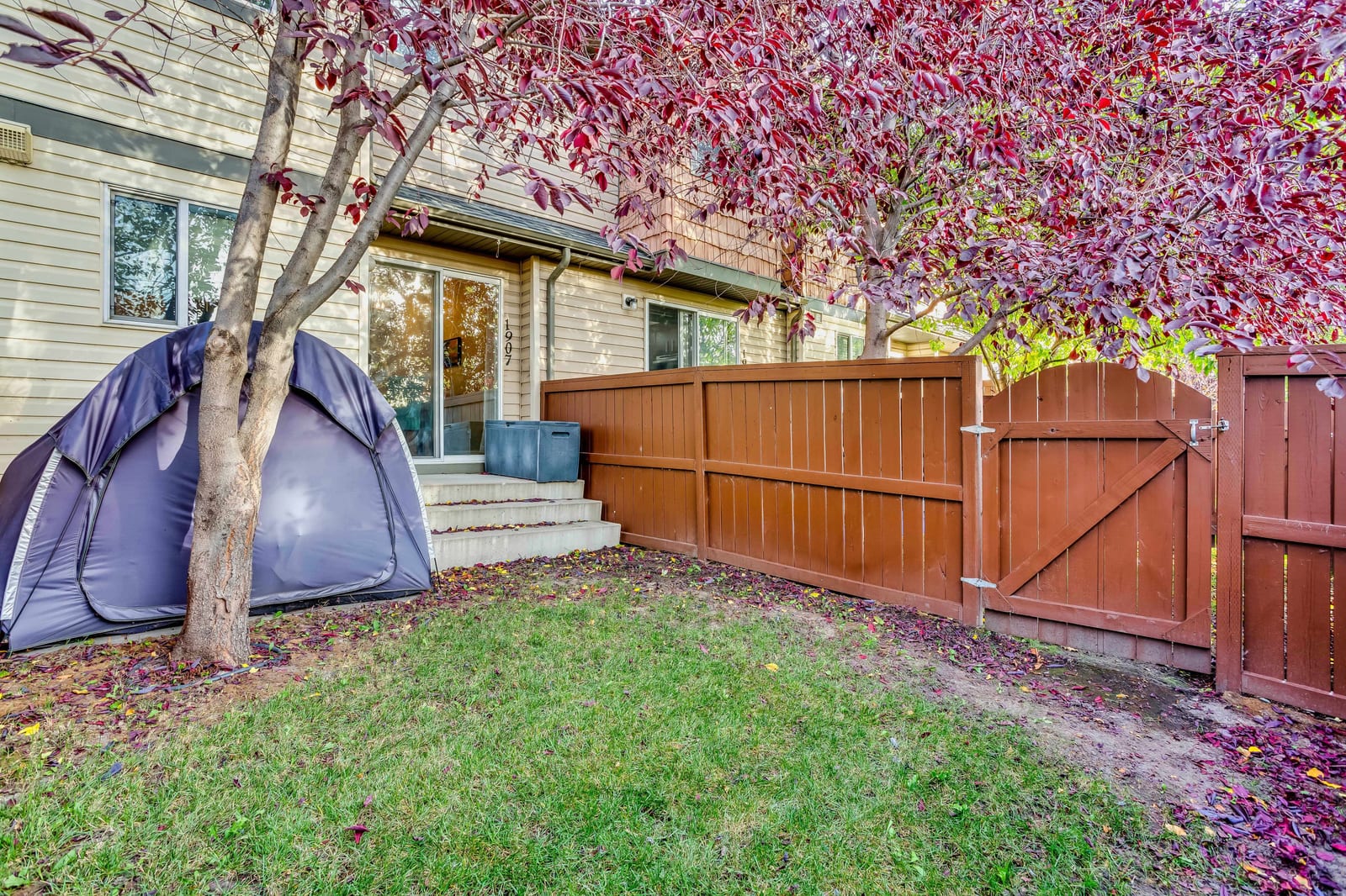 The fenced west-facing backyard