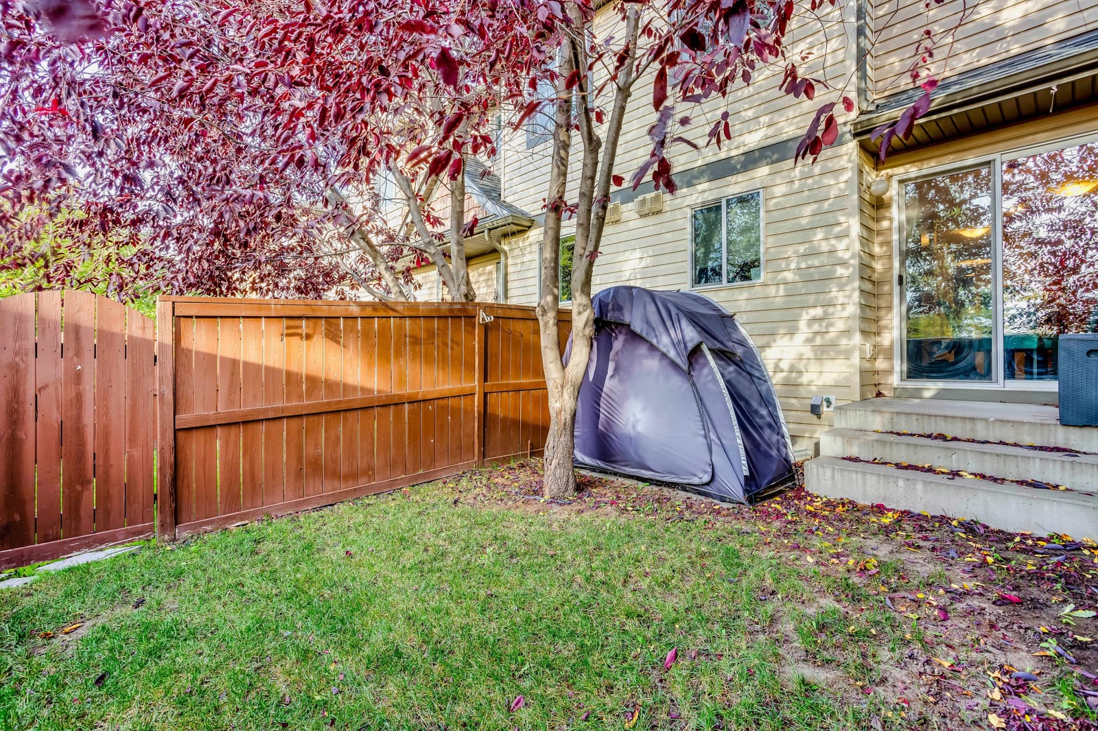 Backyard patio and mature trees