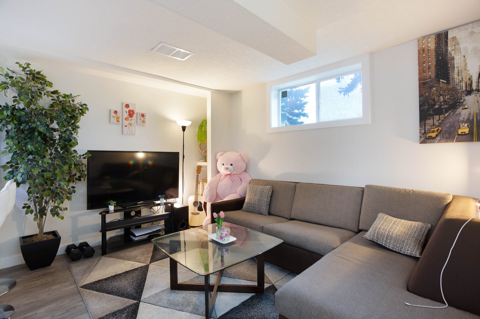 Lower-level living room