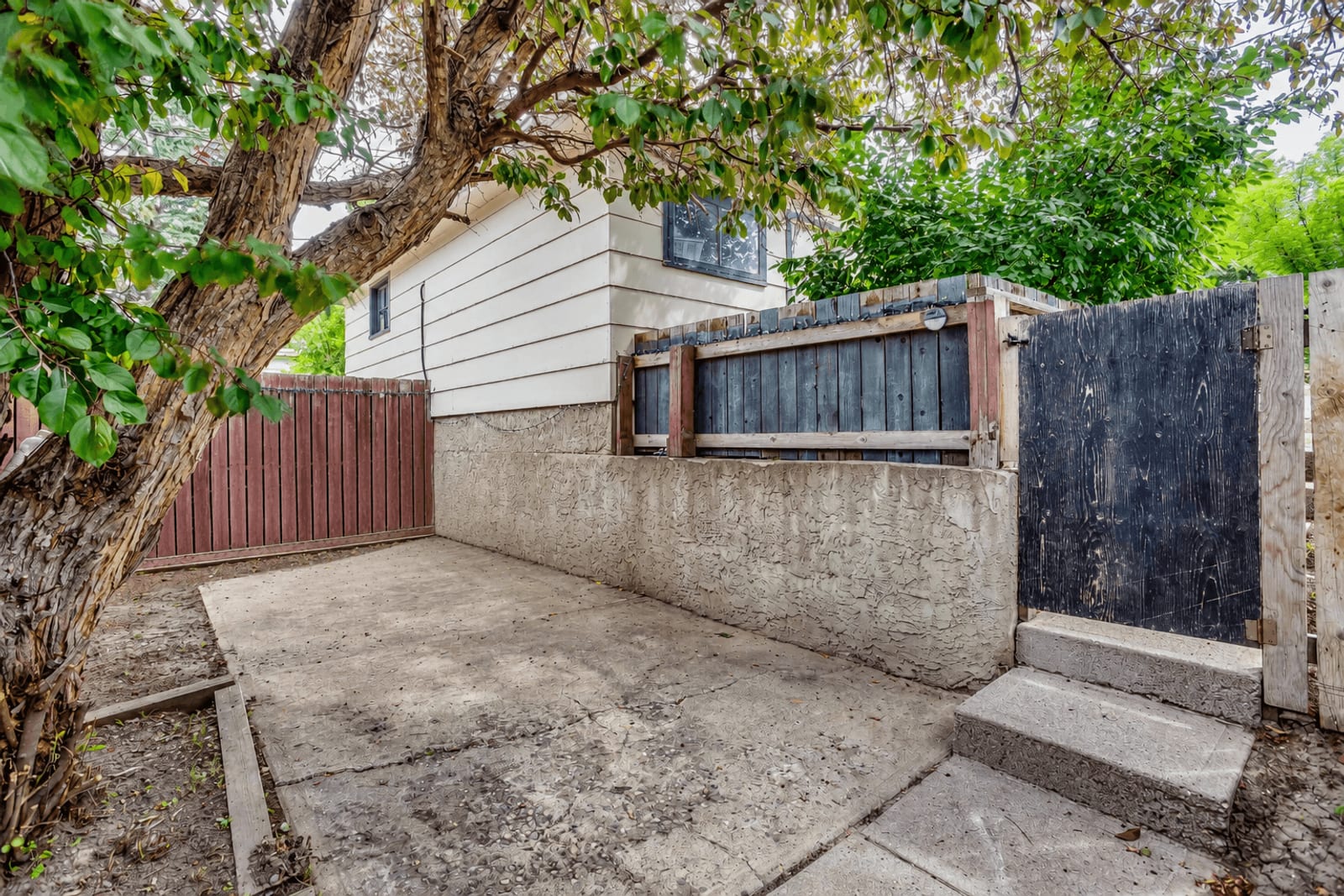 Backyard and fence