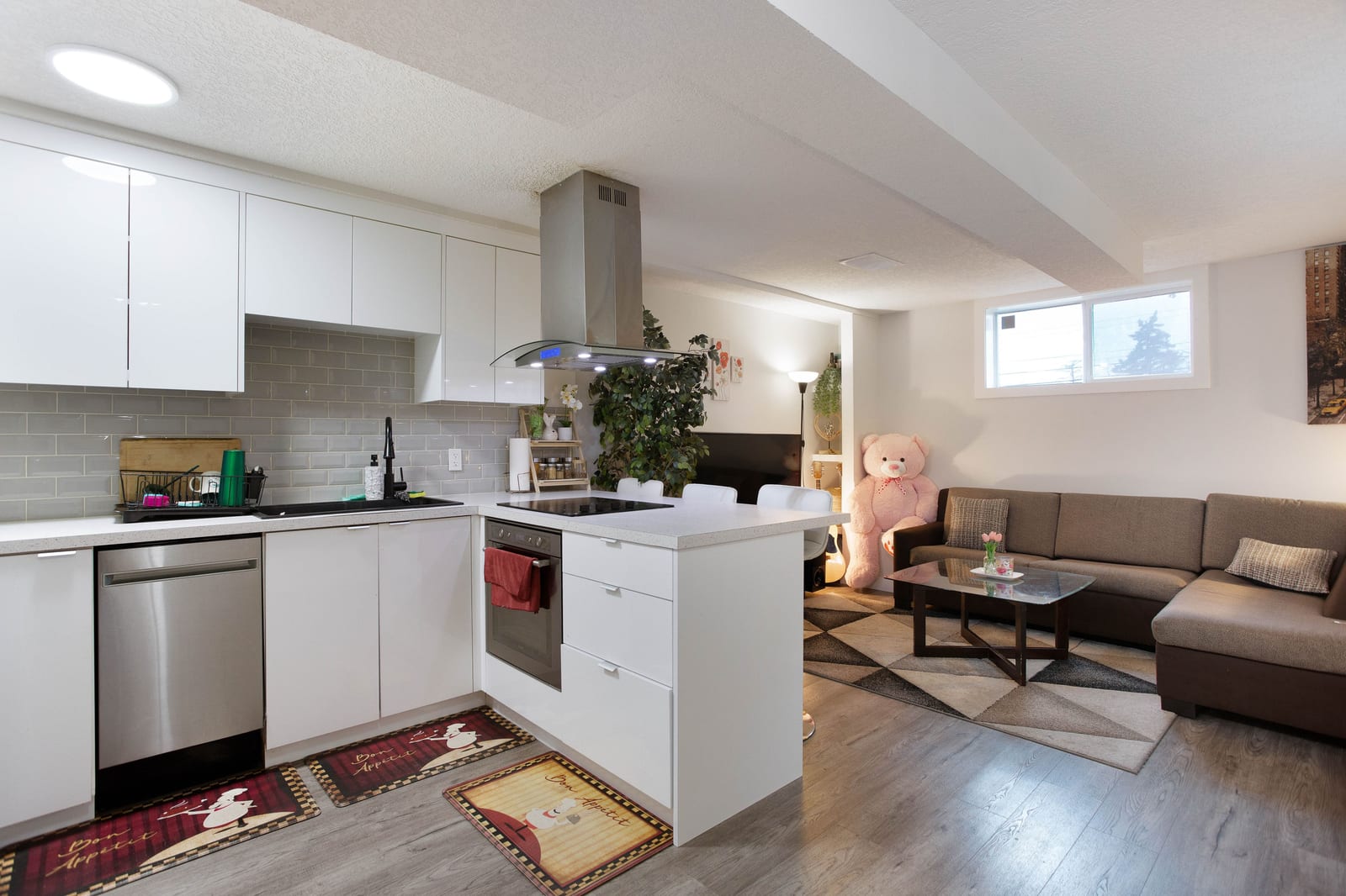 Lower-level open living area