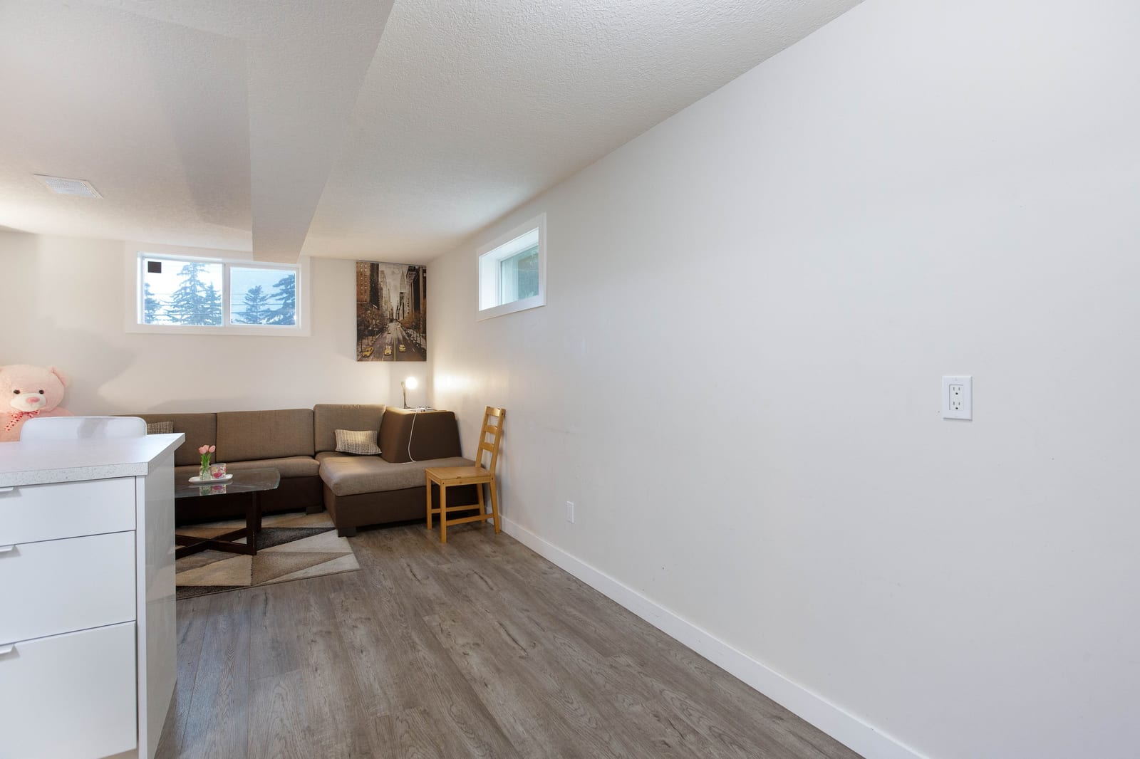 Lower-level living area and windows