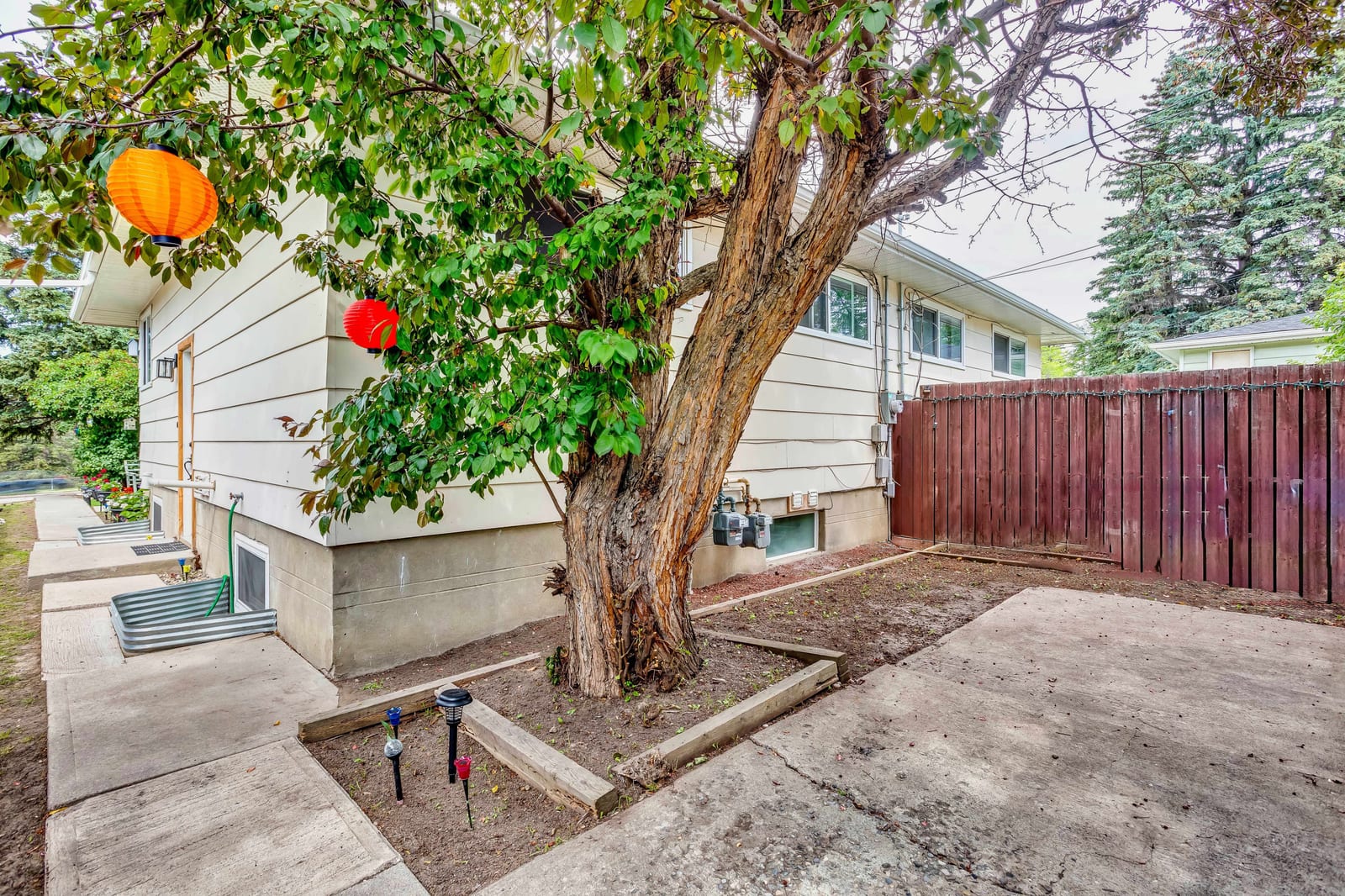 Rear patio and mature trees