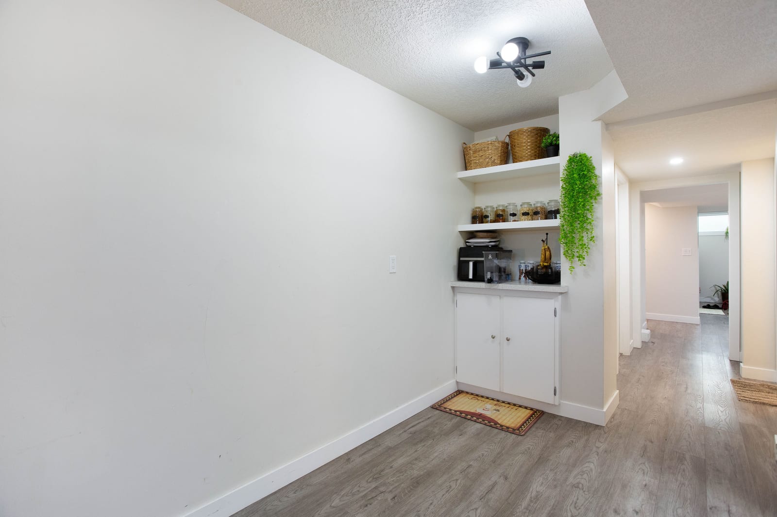 Lower-level hallway and storage