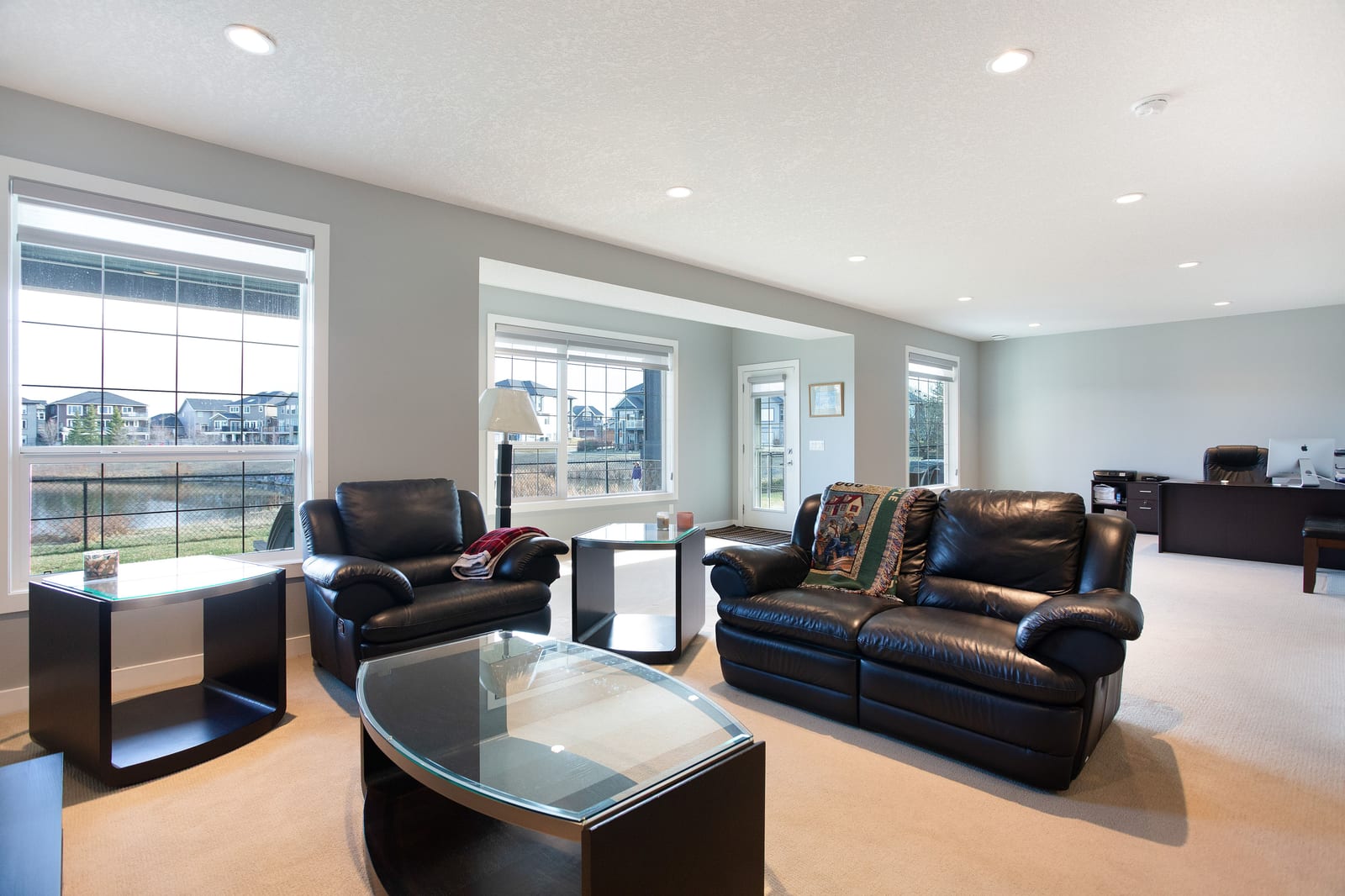 Walkout living room and windows