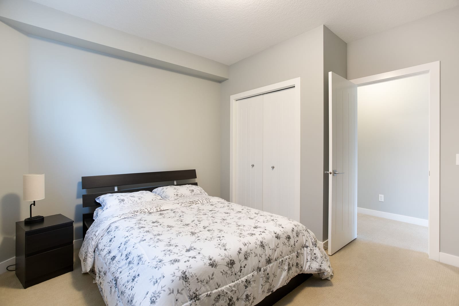 Lower-level bedroom and closet