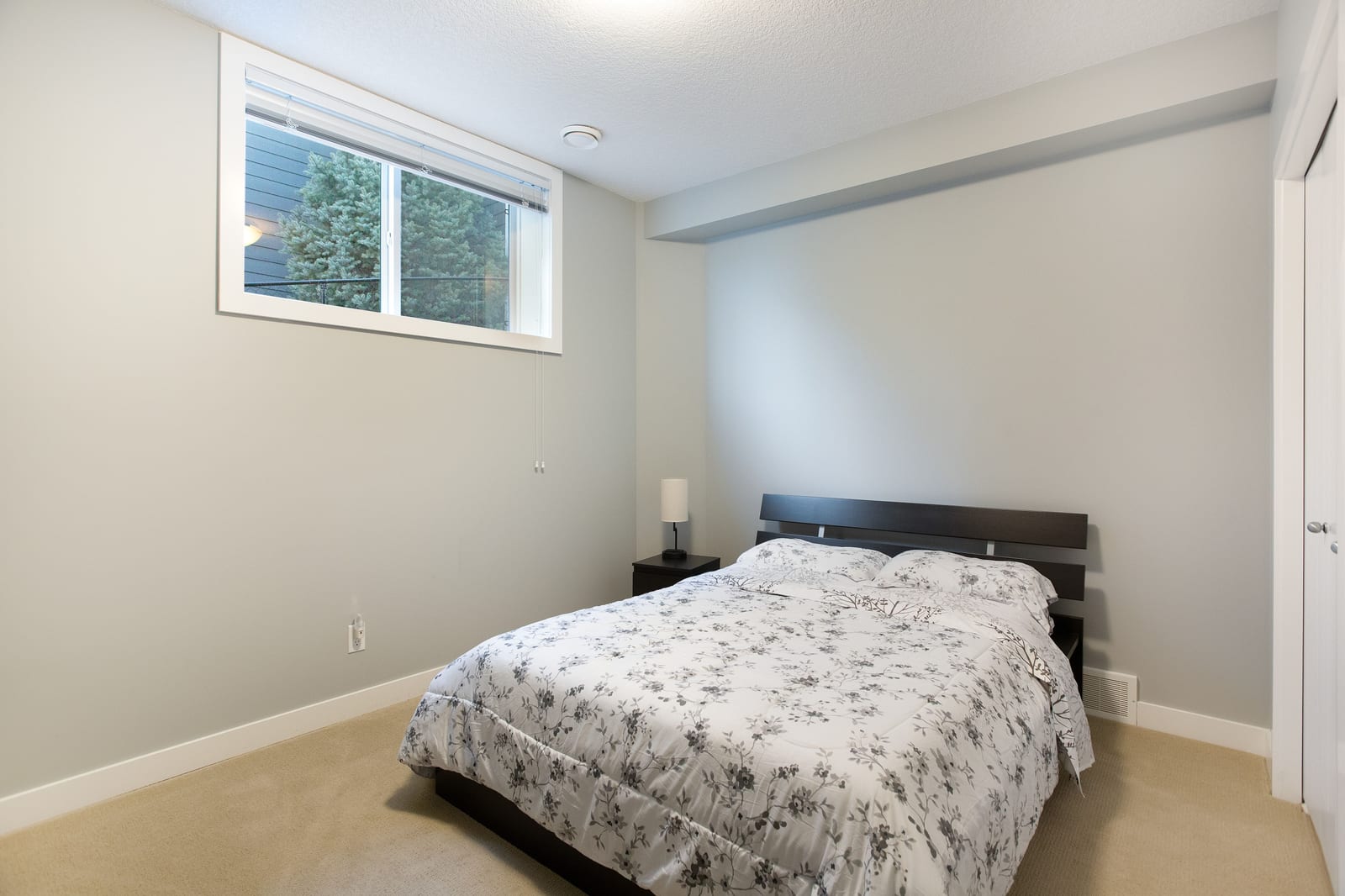 Lower-level bedroom with window